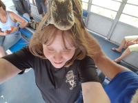 Alligator Selfie